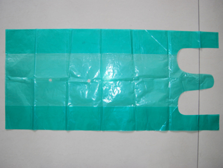 彩色蔬(shu)菜手提袋